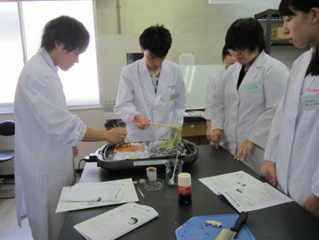 f:id:bunseki:20120810065552j:image