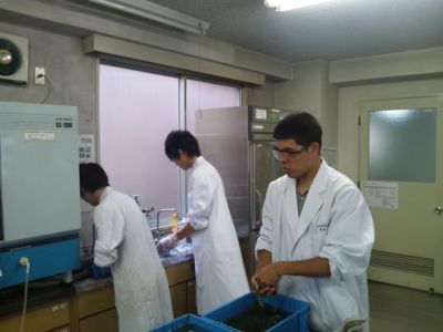 f:id:bunseki:20120829035713j:image