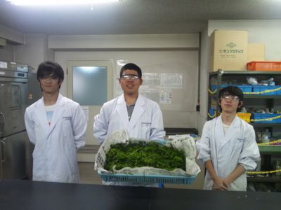f:id:bunseki:20120829035715j:image