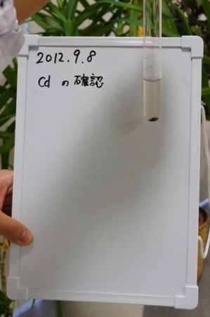 f:id:bunseki:20120909080553j:image,h400
