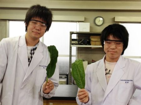 f:id:bunseki:20120913073238j:image