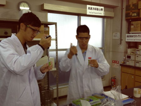f:id:bunseki:20121101235128j:image