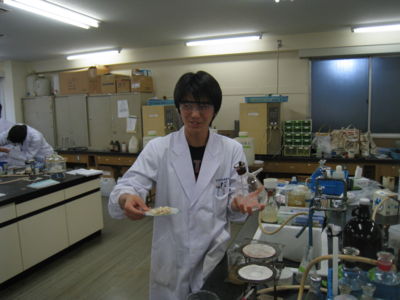 f:id:bunseki:20121117040714j:image