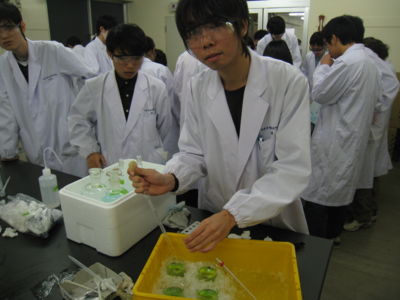 f:id:bunseki:20121117040716j:image