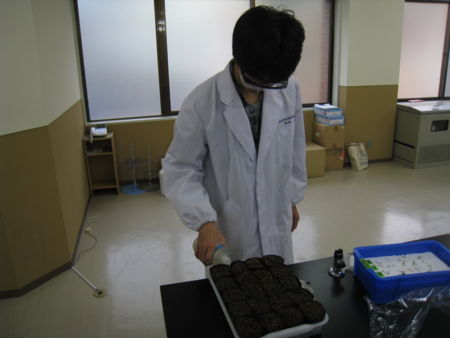 f:id:bunseki:20121121080209j:image:w360