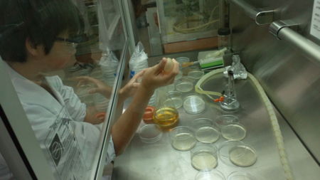 f:id:bunseki:20121214070619j:image:w360