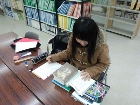 f:id:bunseki:20130212222024j:image