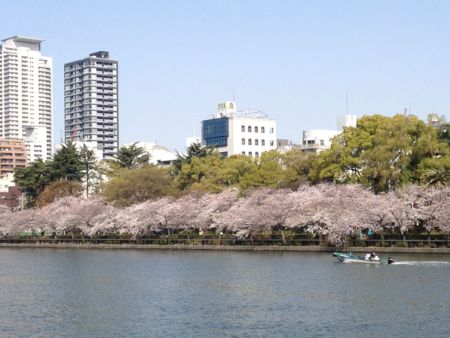f:id:bunseki:20130402190553j:image