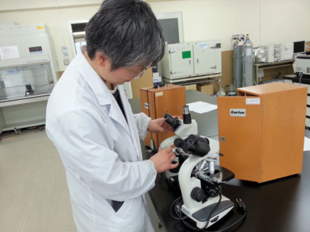 f:id:bunseki:20130405072642j:image