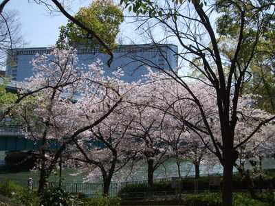 f:id:bunseki:20130406090221j:image