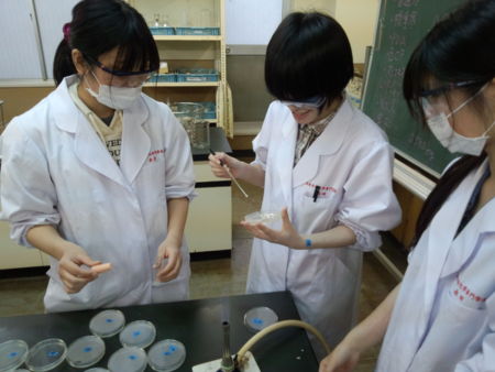 f:id:bunseki:20130424064722j:image