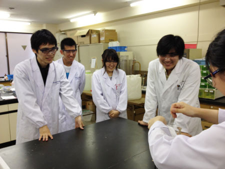 f:id:bunseki:20130621162456j:image