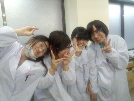 f:id:bunseki:20130626072716j:image
