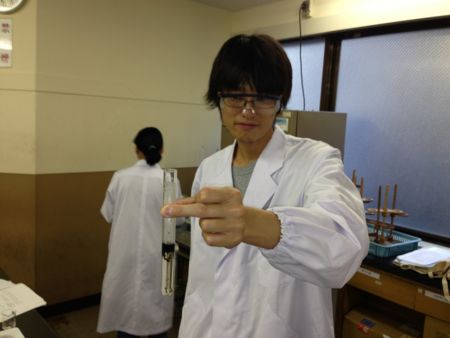 f:id:bunseki:20130921183134j:image