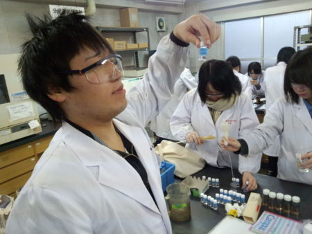 f:id:bunseki:20131211031322j:image
