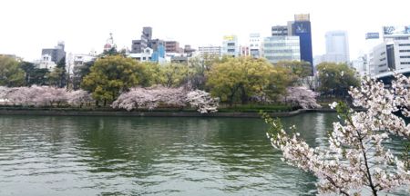 f:id:bunseki:20150402072941j:image:w450