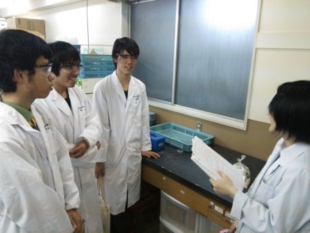 f:id:bunseki:20150624071342j:image