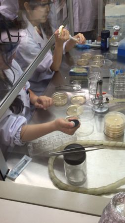 f:id:bunseki:20150715144730j:image