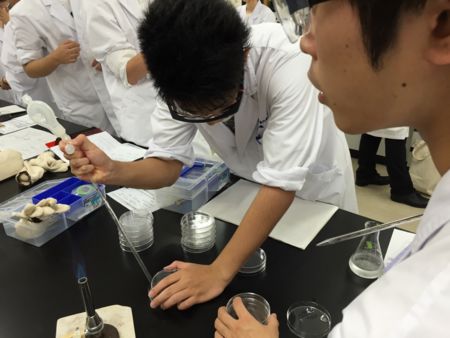 f:id:bunseki:20150718085108j:image:w360