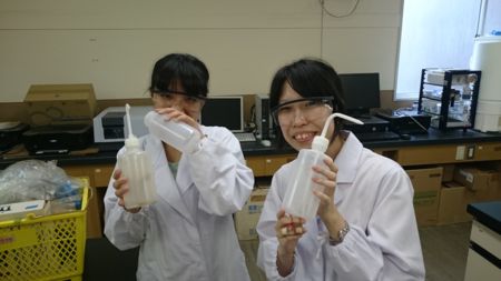 f:id:bunseki:20150804054538j:image:w360