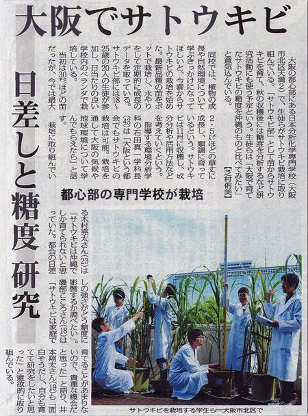 毎日新聞「大阪でサトウキビ」180912.jpg