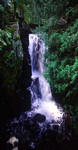 2005-09-19.jpg