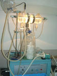 2005-10-08.jpg