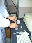 2005-11-25.jpg