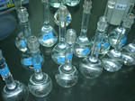 2006-04-24.jpg