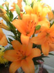 2006-07-18.jpg