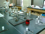 2006-08-08.jpg