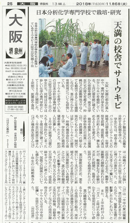 【サトウキビ／2018.11.6】朝日新聞掲載.jpg